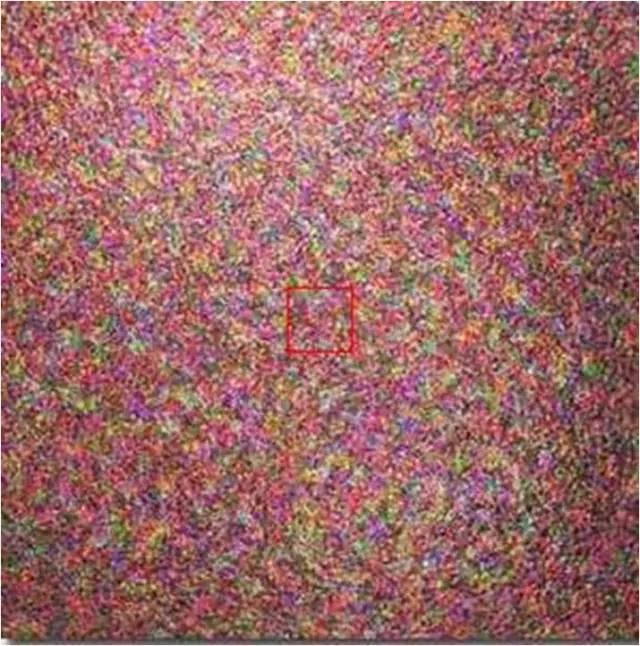 1496196680999105.jpg 991a5f7f56899ef_w640_h646.jpg