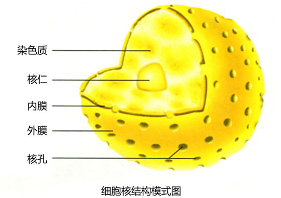 1515728070284714.jpg 2.jpg